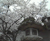 c0046340_22462031.jpg