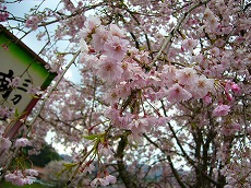 f0056250_2345760.jpg