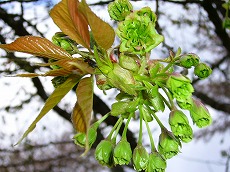 f0056250_23504010.jpg