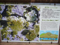 f0056250_23555867.jpg