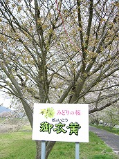 f0056250_23562092.jpg