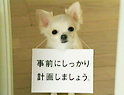 c0050857_23335119.jpg