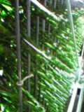 d0007957_0251371.jpg