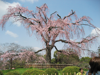 f0009457_2212893.jpg