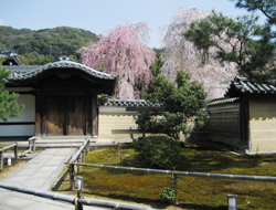 f0009457_23205718.jpg