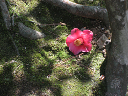 f0009457_23213412.jpg