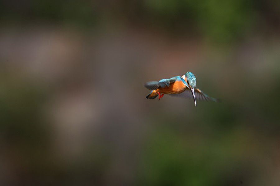 f0103860_2042817.jpg