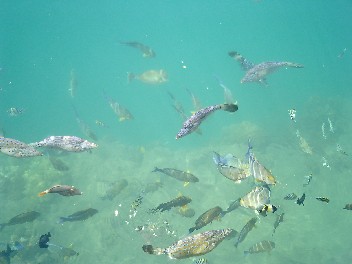 f0080168_22163238.jpg