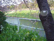 f0047270_0324092.jpg