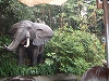 f0015381_537207.jpg