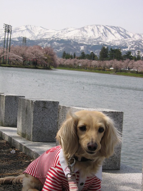 a0038882_20565942.jpg