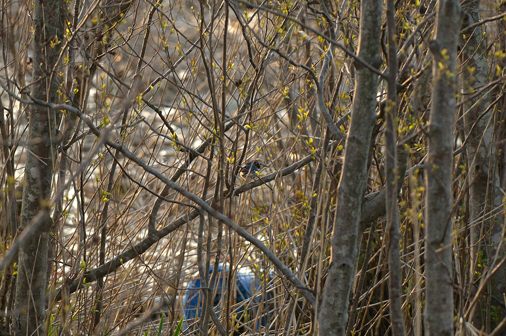 d0011587_2216696.jpg