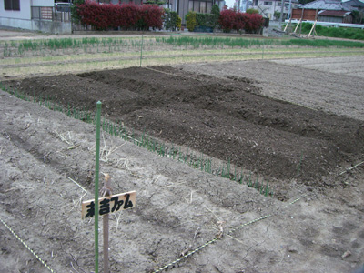 f0070493_22552730.jpg