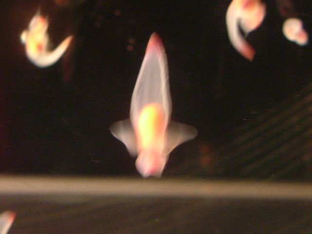 b0044296_22321074.jpg