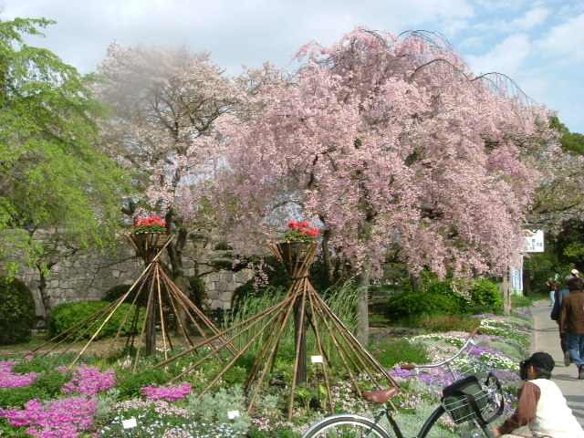 b0044296_22424399.jpg