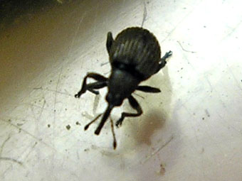 e0083097_20103532.jpg