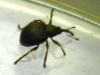 e0083097_20112599.jpg