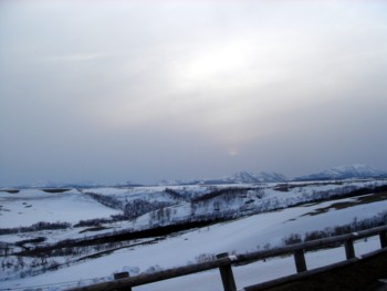 f0020302_12162487.jpg