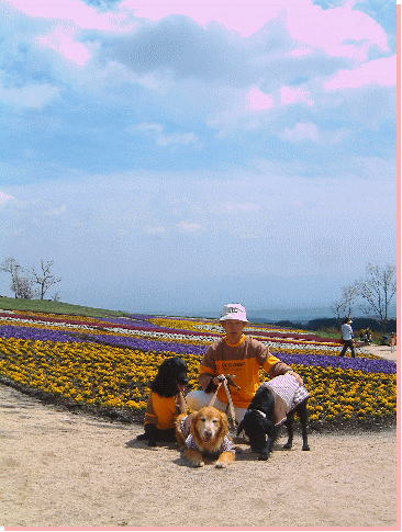 c0017311_9492664.jpg