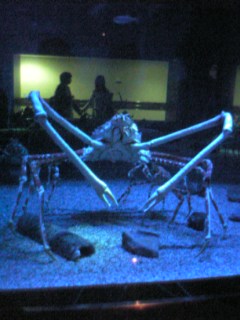 e0072113_4591753.jpg