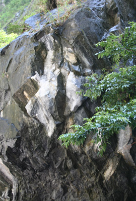e0001123_21233279.jpg