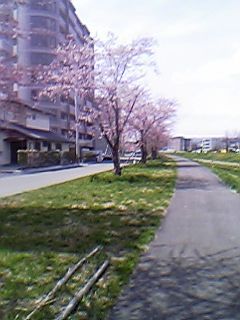 c0022926_1755314.jpg