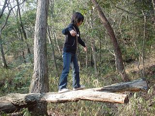f0088731_121362.jpg