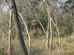 f0088731_128374.jpg