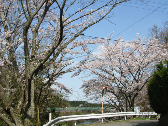b0025633_20422387.jpg