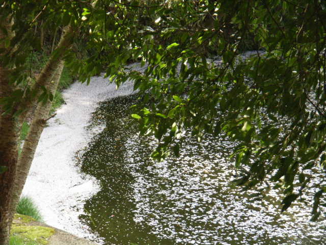 b0025633_20424518.jpg