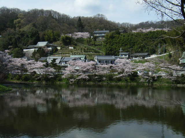 b0025633_21164918.jpg