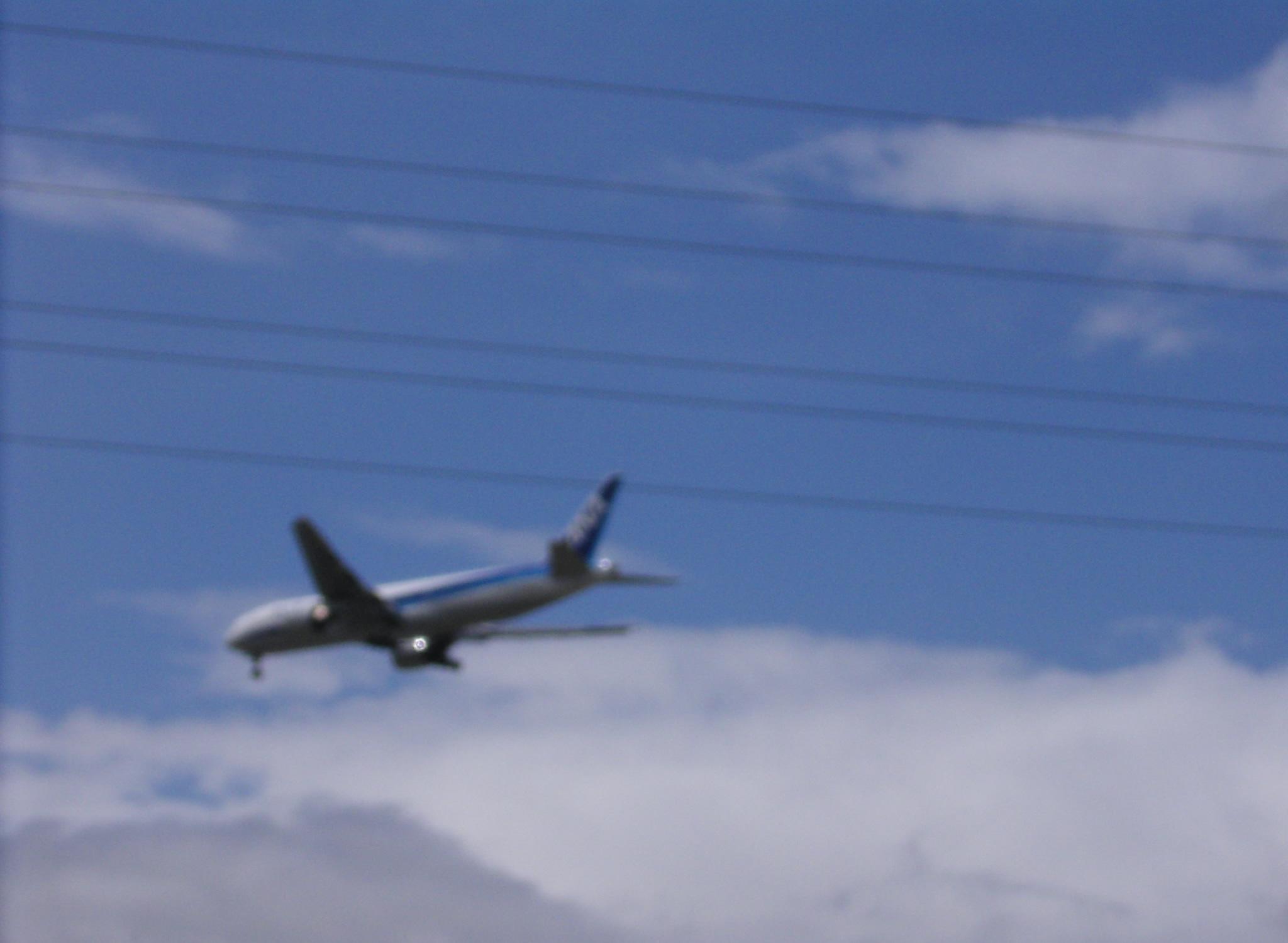 c0026846_20381123.jpg