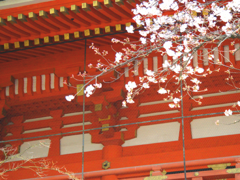 a0024250_23312034.jpg