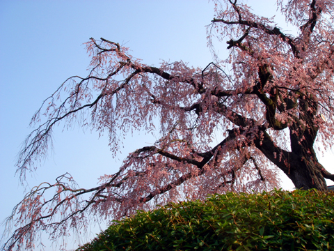 a0024250_23313423.jpg