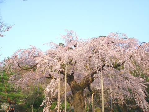 a0024250_23314328.jpg