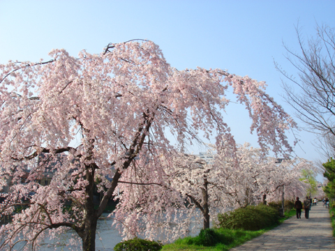 a0024250_2331745.jpg