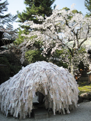f0009457_0202920.jpg