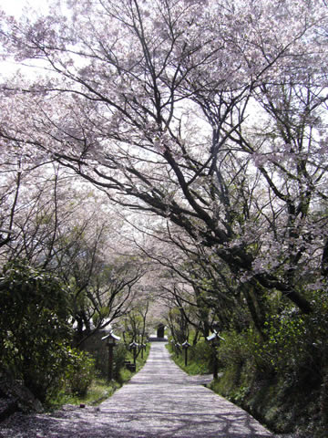 c0037164_9561891.jpg