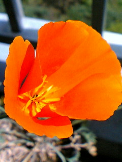 a0064865_13101449.jpg