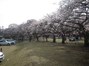 f0040473_2201617.jpg