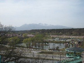 f0040473_2203766.jpg