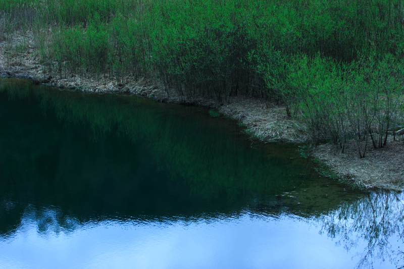 c0030874_721744.jpg