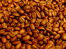 f0077789_18261033.jpg