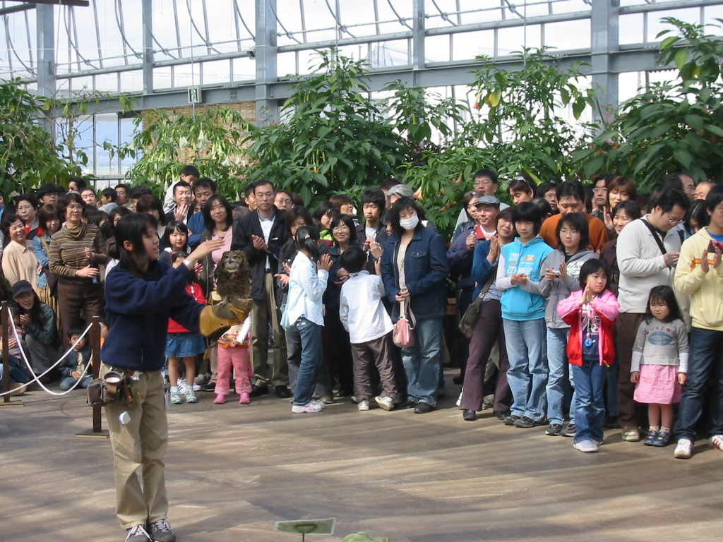 f0013998_5382295.jpg