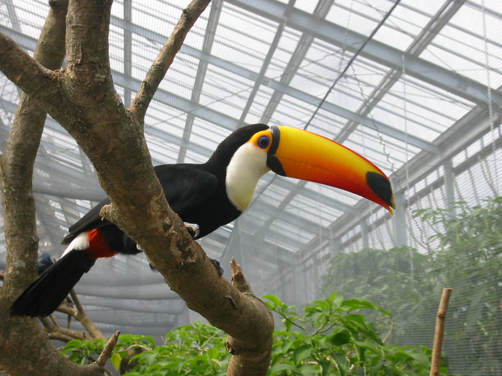 f0013998_5383364.jpg