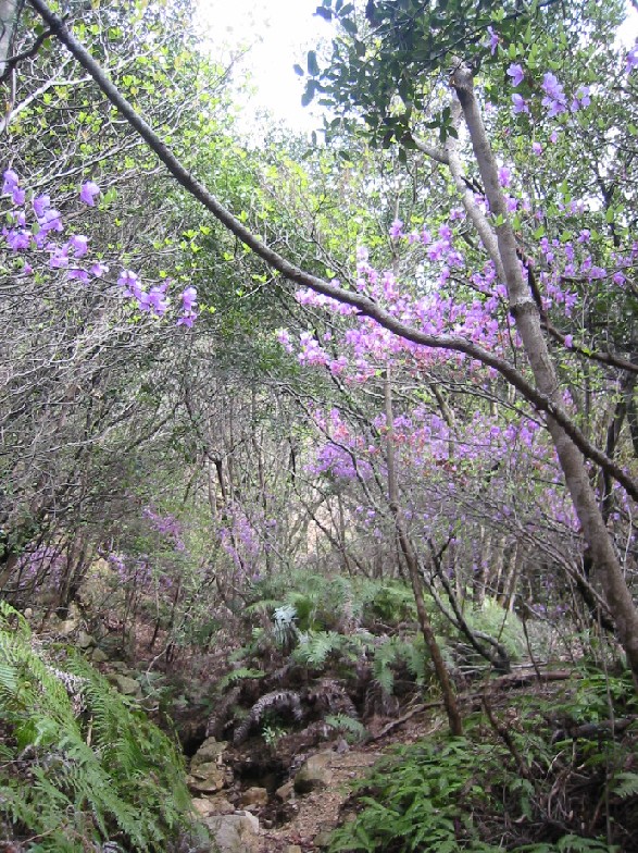 f0013998_538722.jpg