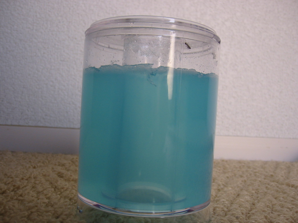 f0013998_554954.jpg