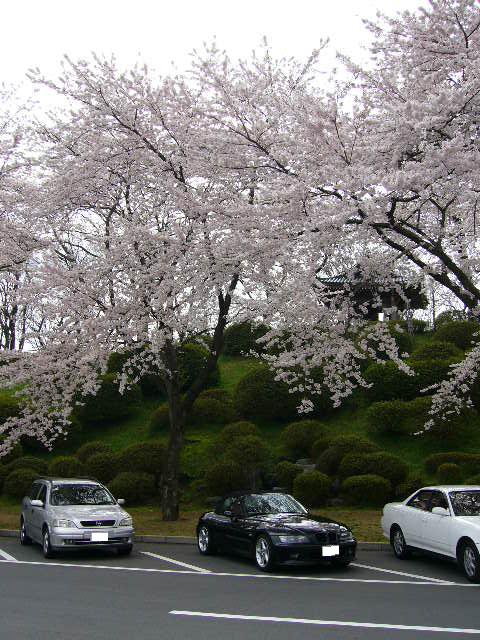 e0015108_0211124.jpg