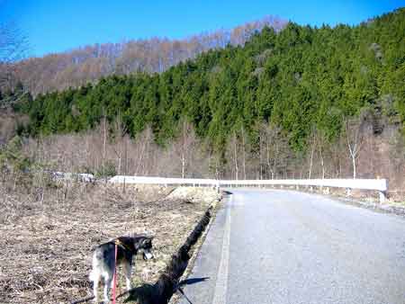 e0001110_613203.jpg
