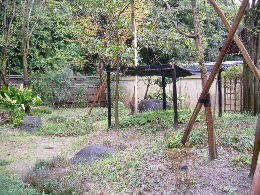 e0046112_4385939.jpg